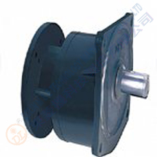 Vertical Type Flanged Gear Reducer
